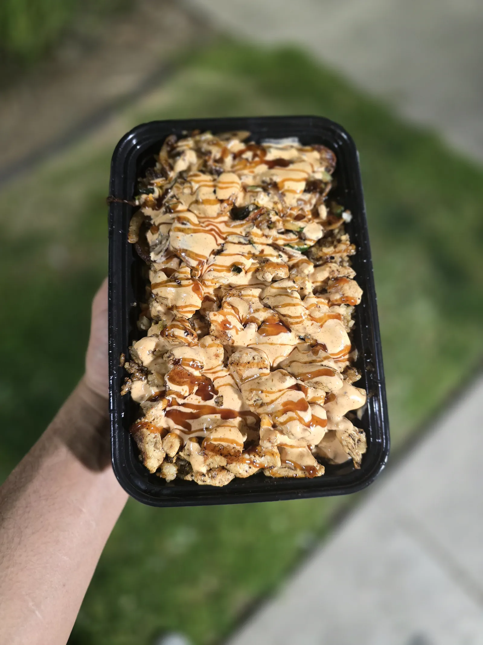 Hibachi plate crossed with chipotle-orange mayo and dark soy glaze, held up outdoors